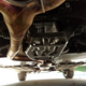 Optional (black) guard protecting the (shiny silver) rear differential